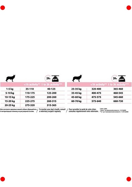 Yetişkin Orta Irk Köpek Maması | Somonlu 16.5 kg Set indirimleri