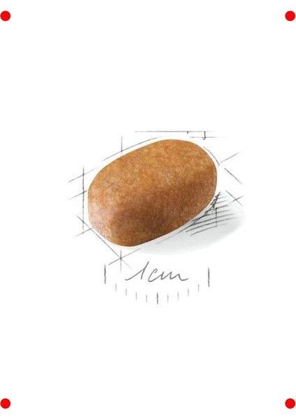 Maltese Yetişkin Kuru Köpek Maması 1.5 kg modelleri