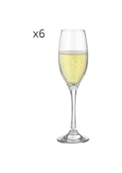 6&apos;lı Maldive Şampanya Kadehi 180 cc fiyatları