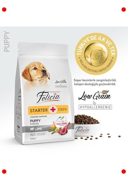 Yavru Köpek Kuzulu Az Tahıllı Hipoalerjenik Mama 6 kg fiyatları