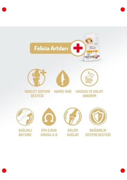 Yavru Köpek Kuzulu Az Tahıllı Hipoalerjenik Mama 6 kg modelleri