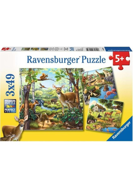 92659 Dağ Hayvanları Çocuk Puzzle, Çok Renkli, 3X49 Parça