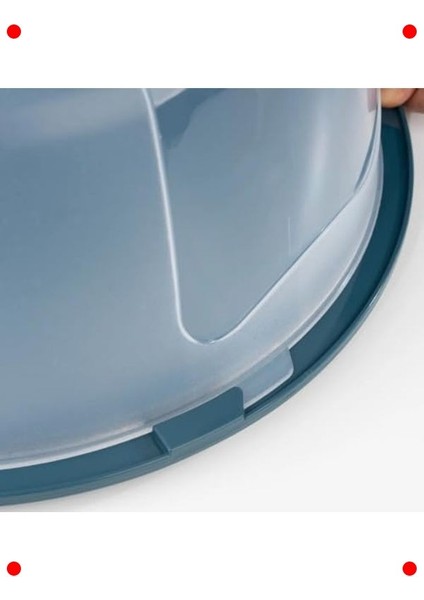 Kilitli Kapaklı Pasta ve Kek Taşıma Kutusu modelleri