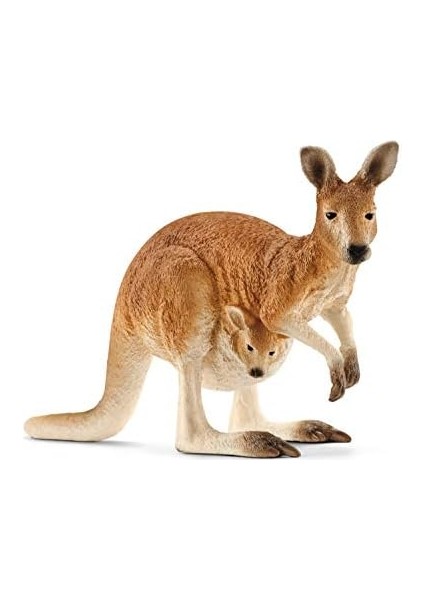 14756 – Okuyan Kanguru, Çok Renkli modelleri