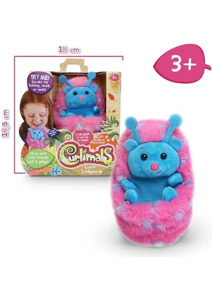 Gıdıklanan Uğur Böceği fiyatları