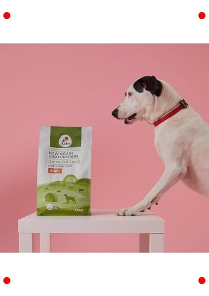 Kuzu Etli Yetişkin Köpek Kuru Maması 2.5 kg modelleri