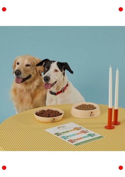 Kuzu Etli Yetişkin Köpek Kuru Maması 2.5 kg fırsatları