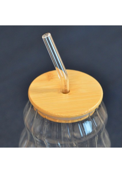 Bambu Kapaklı Pipetli Çizgili Bardak - Açık Kahverengi / Şeffaf - 450 ml modelleri