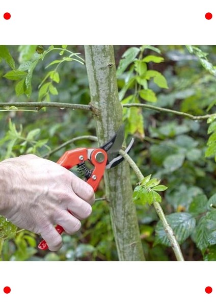 Bahçe Budama Makası - 220MM Uzunluk, 25MM Kesim indirimleri