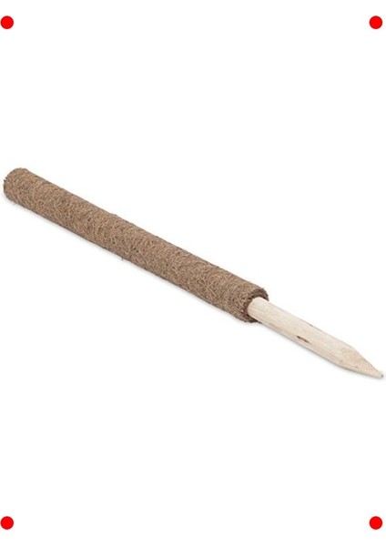 Doğal Hindistan Cevizi Bitki Destek Çubuğu - 60 cm