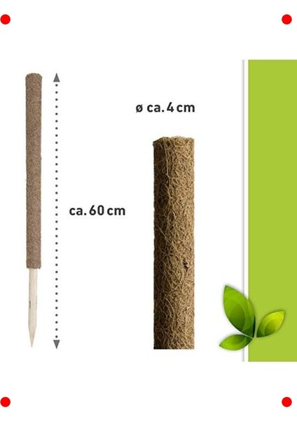 Doğal Hindistan Cevizi Bitki Destek Çubuğu - 60 cm fiyatları