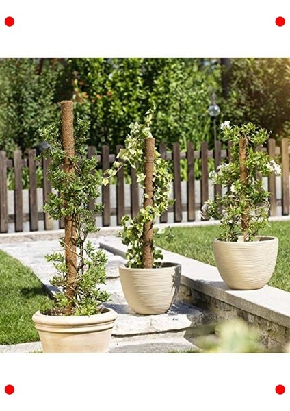 Doğal Hindistan Cevizi Bitki Destek Çubuğu - 60 cm modelleri