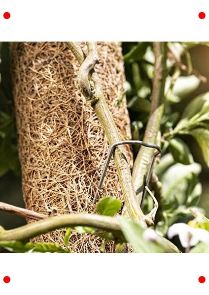 Doğal Hindistan Cevizi Bitki Destek Çubuğu - 60 cm indirimleri