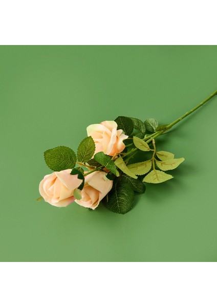 Time Üç Başlı Gül - Asorti - 30 cm fiyatları