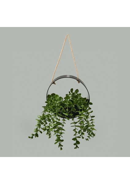 Dekor Yapay Okaliptus - Asorti - 50X20 cm