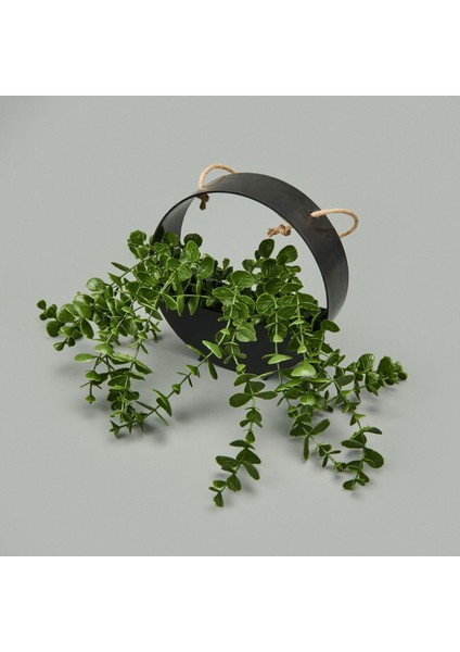 Dekor Yapay Okaliptus - Asorti - 50X20 cm fiyatları