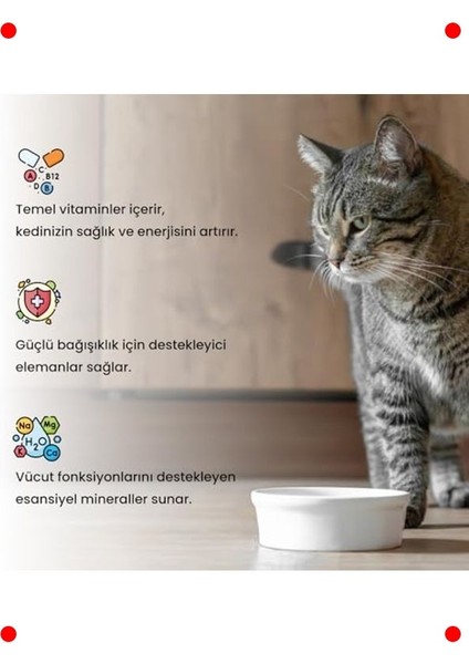 Kediler Için Multivitamin Macun 100 G indirimleri