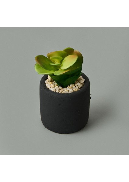 Mini Pot Sukulent - Siyah - 8X6X6 cm modelleri