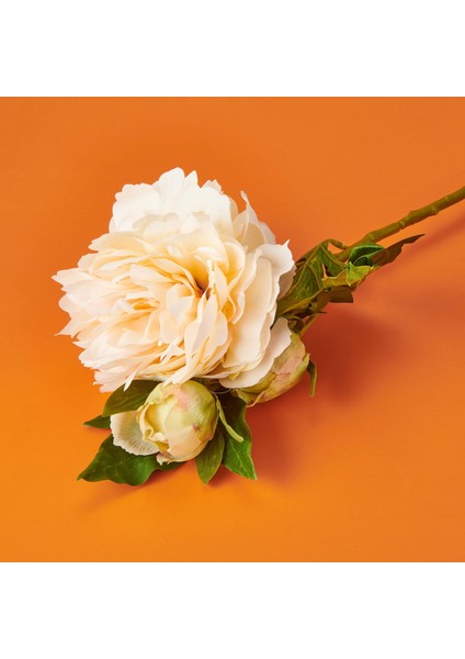 Şakayık Yapay Çiçek - Krem - 65 cm modelleri