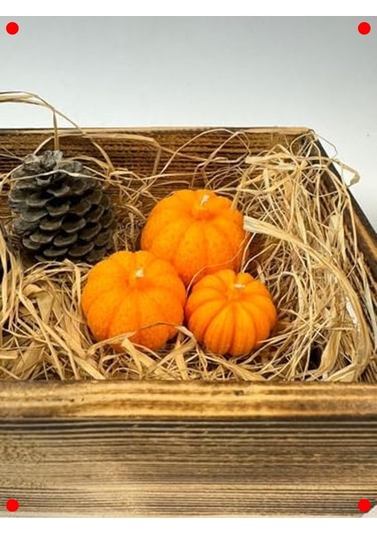 3'lü Mini Kabak Dekoratif Mum Seti - Sonbahar Kış fırsatları