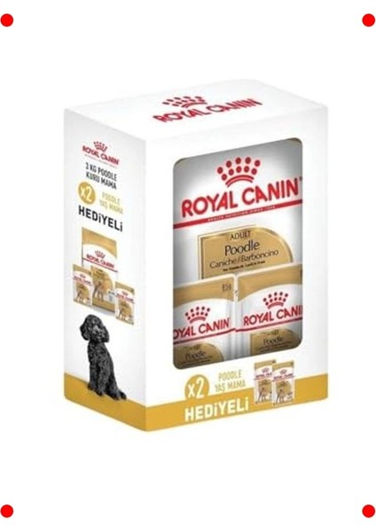 Poodle Yetişkin Köpek Maması 3 kg + Yaş Mama Hediyeli
