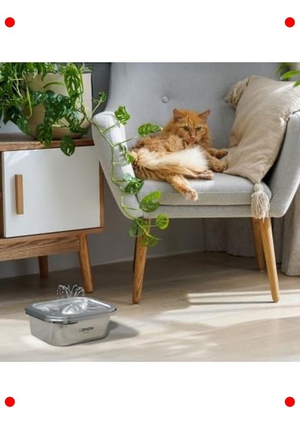 Akıllı Paslanmaz Çelik Evcil Hayvan Su Pınarı modelleri