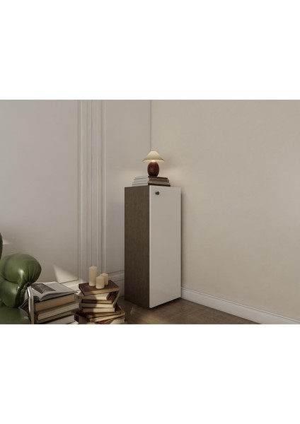 1 Kapaklı Çok Amaçlı Dolap Antrasit Beyaz fiyatları