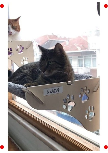 Cama Asılan Kedi Yatağı: Güçlü Vantuzlu