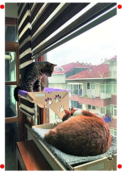 Cama Asılan Kedi Yatağı: Güçlü Vantuzlu modelleri