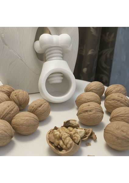 Ceviz ve Fındık Kıracağı