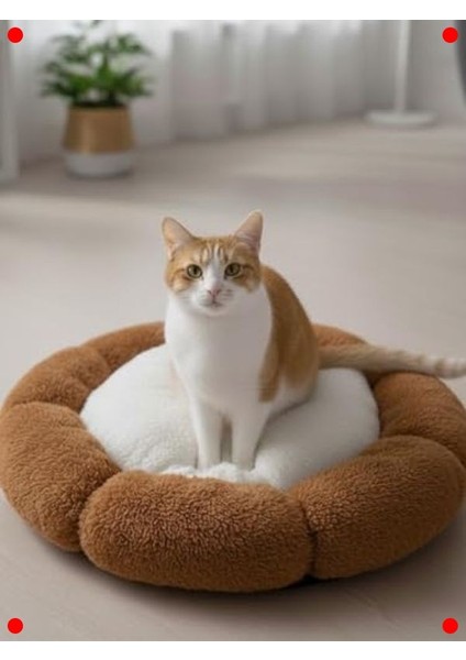 Peluş Kedi Köpek Yatağı Bulut Tasarım 45X45 cm