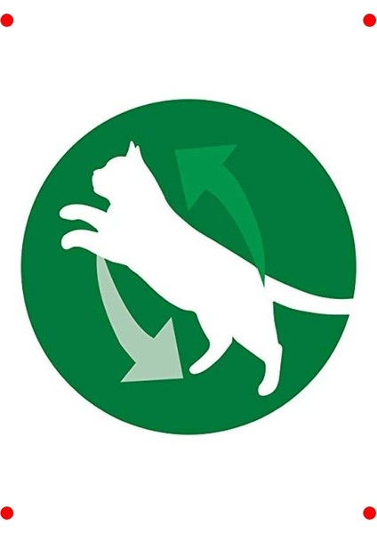 Sığır Etli Kısır Kedi Maması 1.5 kg fırsatları