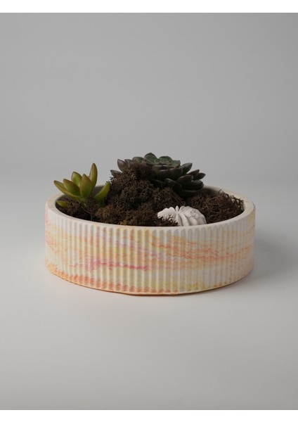 Dekoratif Beton Çizgili Kase - Sukulent - Mini Kaktüs - Bonsai - Aranjman Kasesi - Büyük/küçük