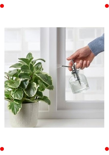Cam Bitki Sulama Spreyi - 25 Cl, 16 cm