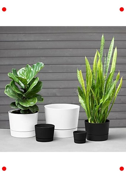 Modern Düşük Profil Silindir Saksı - Mat Siyah (21.5cm) fiyatları