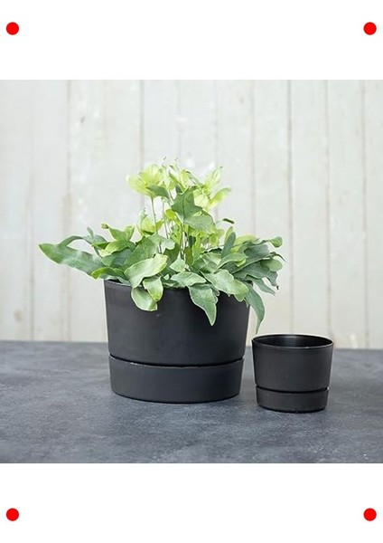 Modern Düşük Profil Silindir Saksı - Mat Siyah (21.5cm) fırsatları