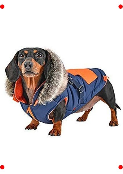 Rahat Köpek Yelek Tasması - Kırmızı M Beden fırsatları