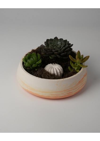 Dekoratif Beton Kase - Amorf 5X19 1l- Sukulent - Mini Kaktüs - Bonsai - Aranjman Kasesi