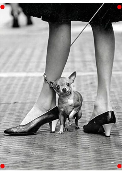 Yetişkin Temalı Manzara Yapbozu - 1000 Parça fiyatları