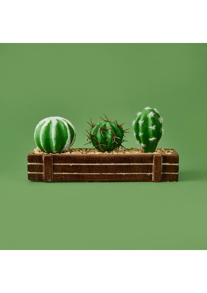 Mini Kasada Kaktüs - Kahverengi - 8X21 cm