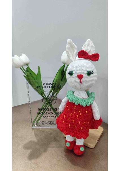 Amigurumi Kız Bebek Için Çilek Kız Tavşan Yeni Doğan Seti