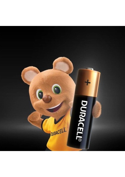 Basic 6'lı Aa Kalem Pil fiyatları