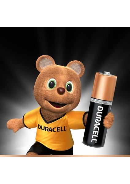 Basic 4'lü Aa Kalem Pil fiyatları