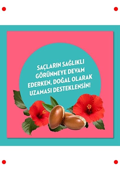 Argan Yağı & Hibiskus Saç Kremi - Dökülme Karşıtı 350ML indirimleri