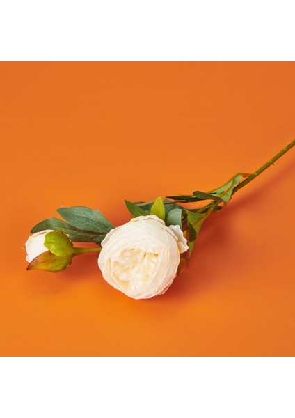Şakayık Yapay Çiçek - Beyaz - 65 cm modelleri