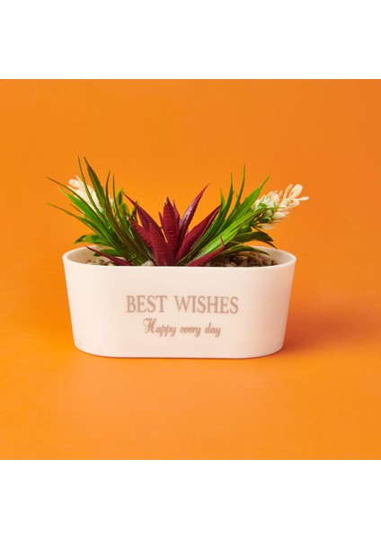 Dekor Sukulent - Asorti - 16X13 cm fiyatları