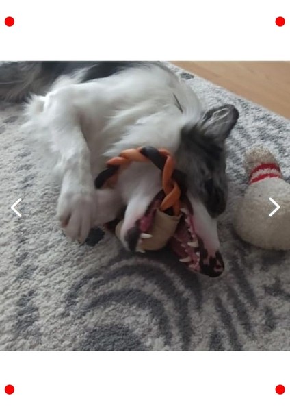 Doğal Kolajen Köpek Çiğneme Çubuğu Halkaları (Organik) modelleri