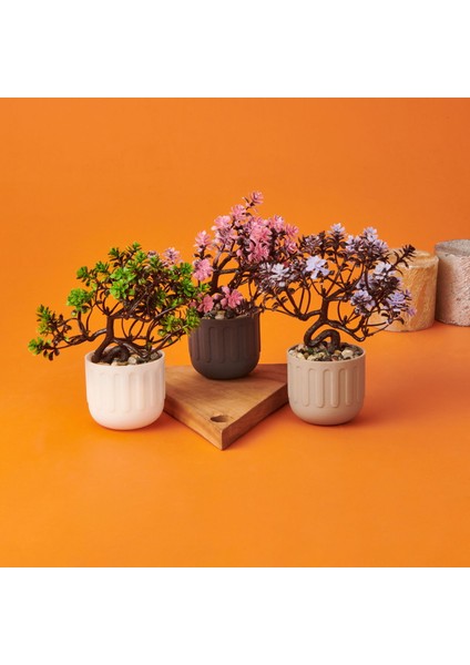 Dekor Yapay Bonsai - Asorti - 12X17 cm fiyatları