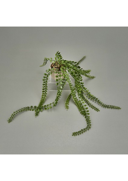 Living Mika Saksılı Okaliptüs Sarkıtı - Yeşil / Bej fiyatları