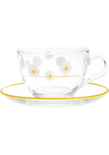 Fiona 4 Parça Çay Fincan Seti - Şeffaf - 238 ml modelleri